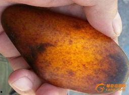 今日看料,揭秘最新资讯背后的故事