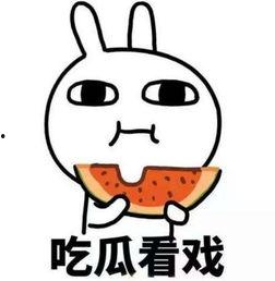 爆料网吃瓜黑料反差入口 带你去吃瓜瓜哥视频