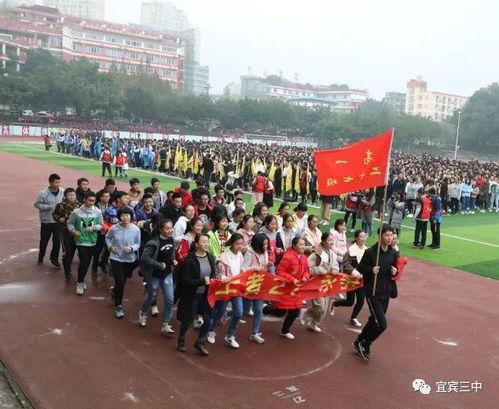 不打烊 51朝阳吃瓜群众,不打烊的美食盛宴，吃瓜群众的欢乐天堂