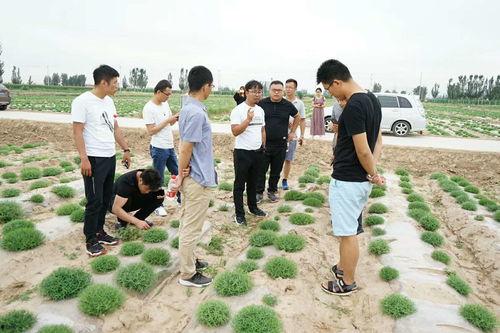 瓜瓜基地,绿色生态农业的璀璨明珠